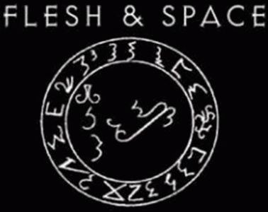 logo Flesh And Space logo Flesh And Space